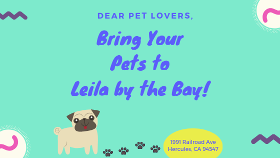 Bring your pets at Leila by the Bay