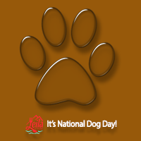 Leila by the Bay - It's National Dog Day - Transparent paw, logo and text.