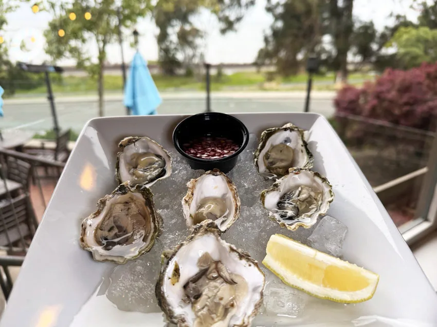 Leila by the Bay - Oyster Saturdays - Oysters on a plate with partial view of the restaurant.